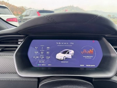 Tesla Model S Model S 100kWh Performance Dual Motor AWD Ludicrous (18)