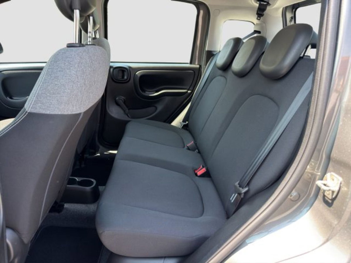 Fiat Panda Cross Cross 1.0 FireFly S&S Hybrid (11)