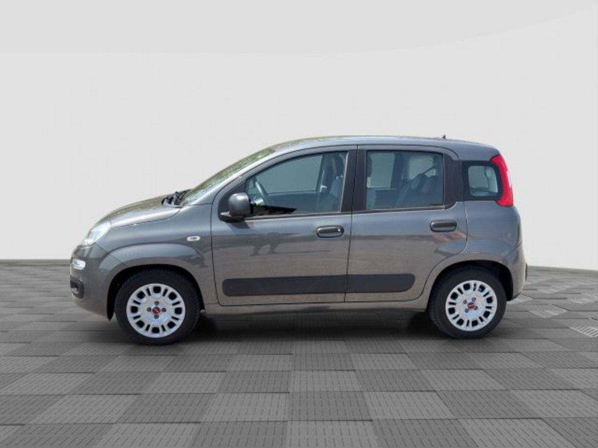 Fiat Panda Cross Cross 1.0 FireFly S&S Hybrid (2)