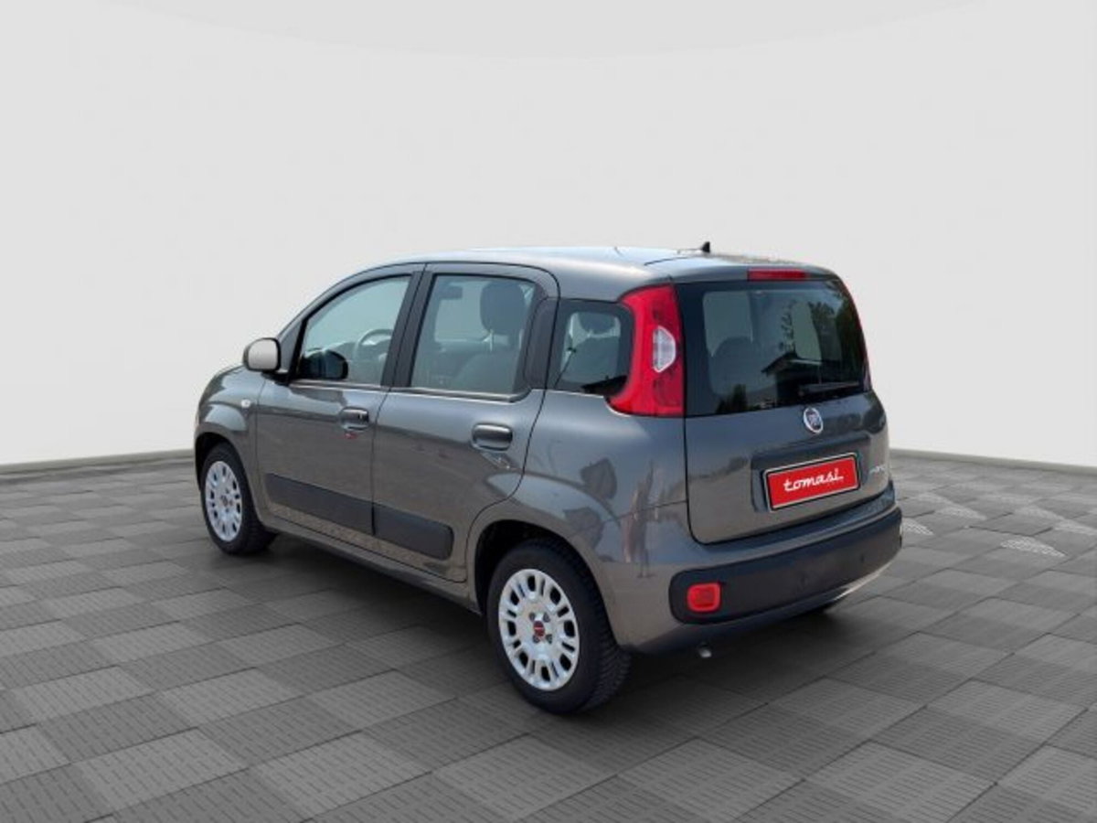 Fiat Panda Cross Cross 1.0 FireFly S&S Hybrid (3)
