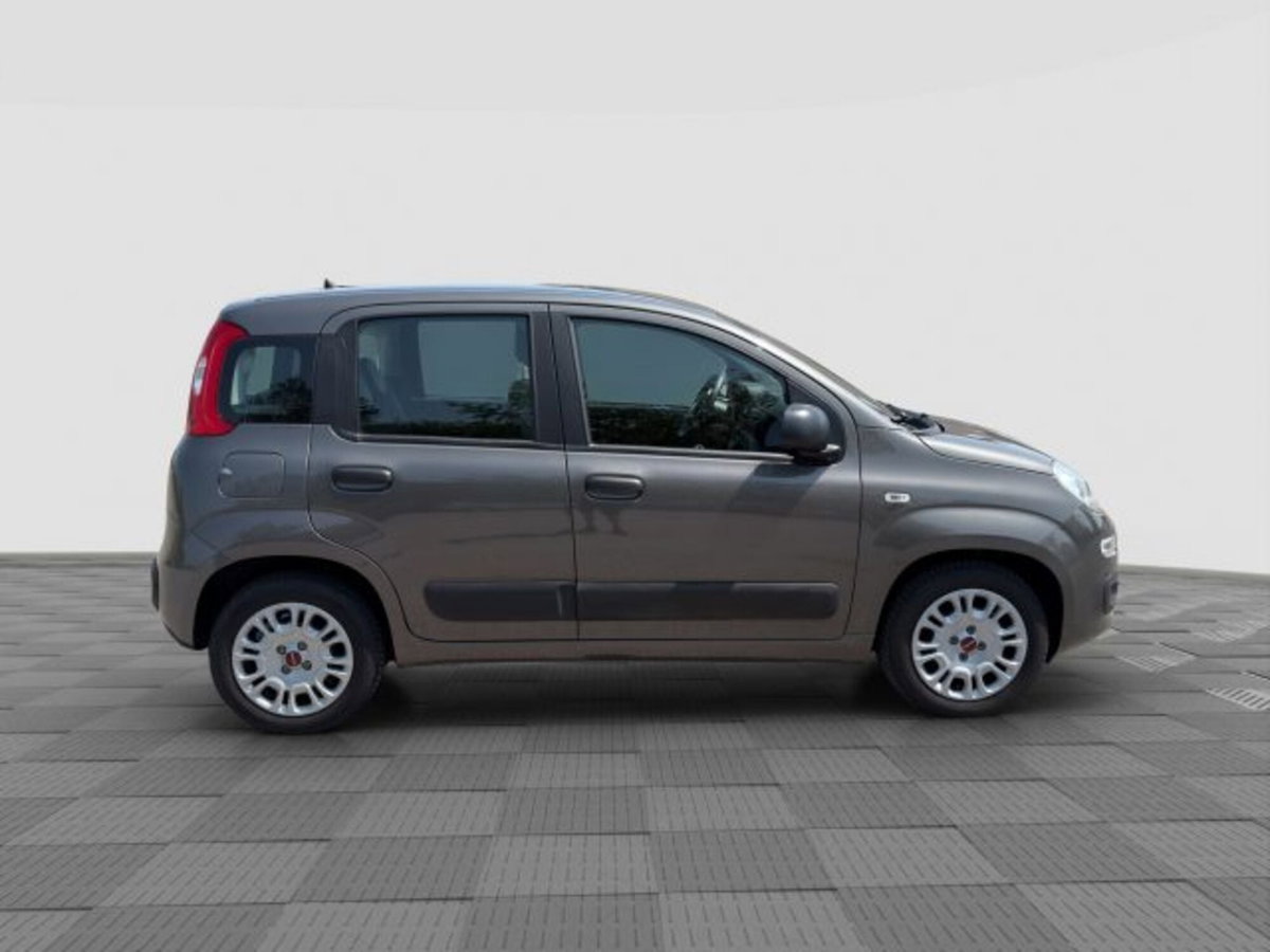 Fiat Panda Cross Cross 1.0 FireFly S&S Hybrid (6)