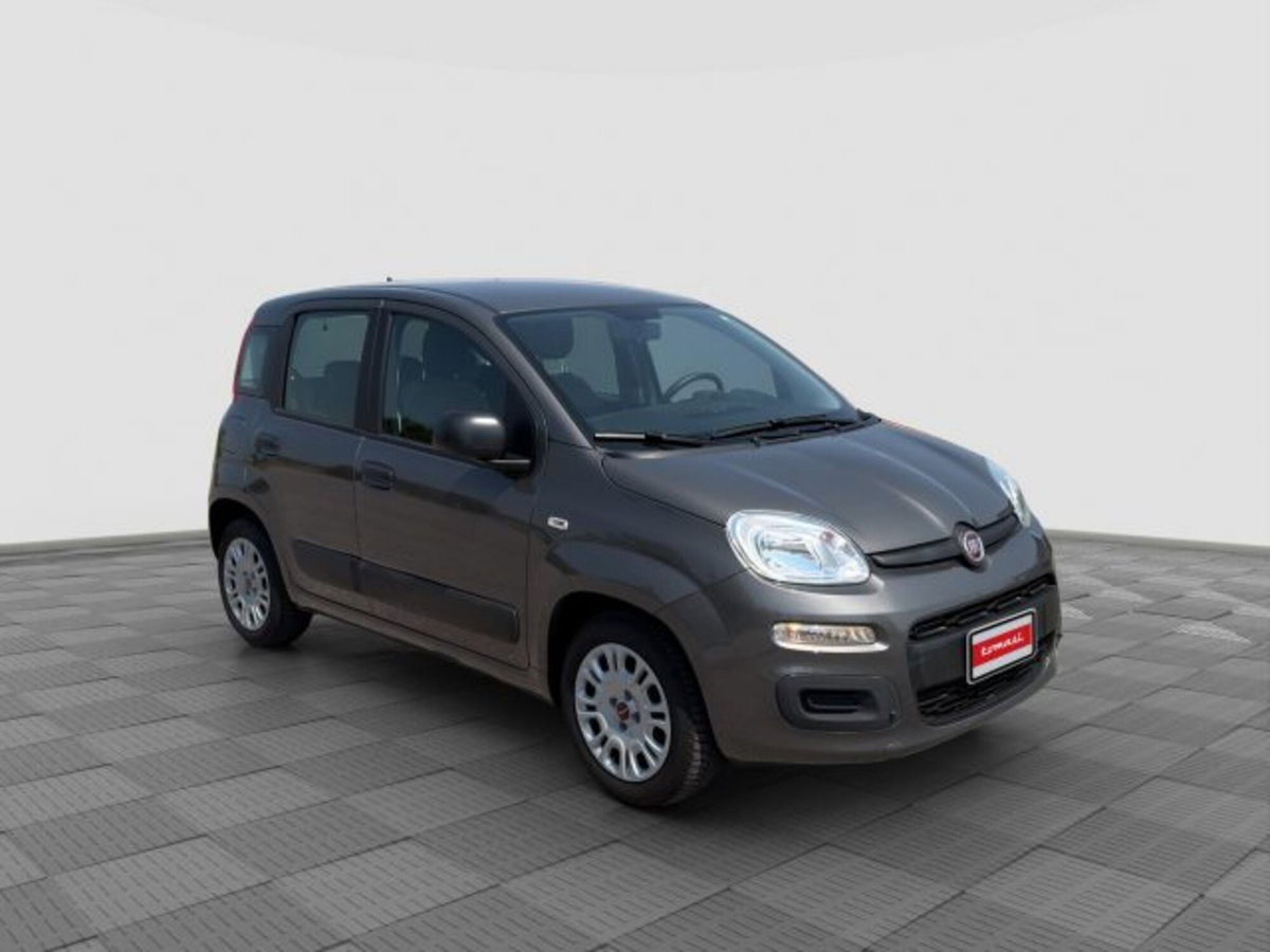 Fiat Panda Cross Cross 1.0 FireFly S&S Hybrid (8)