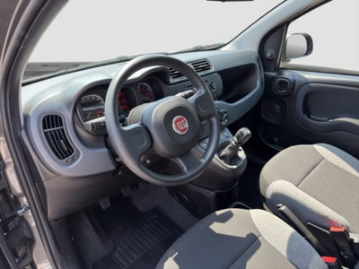 Fiat Panda Cross Cross 1.0 FireFly S&S Hybrid (9)