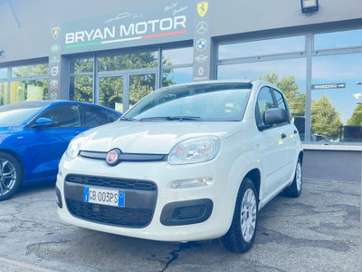 Fiat Panda 1.2 EasyPower Easy usata
