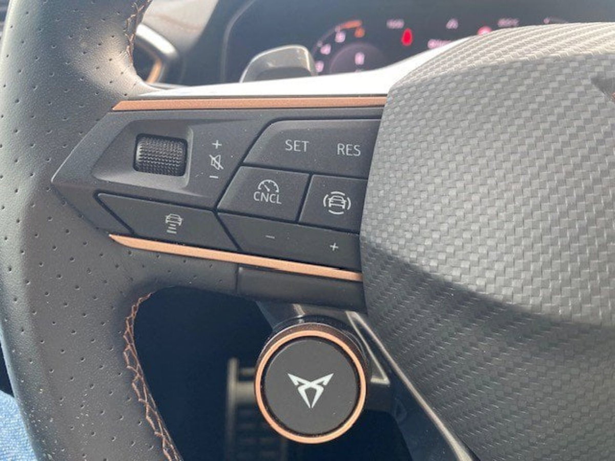 Cupra Formentor Formentor 2.0 TDI (11)
