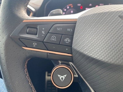 Cupra Formentor Formentor 2.0 TDI (11)