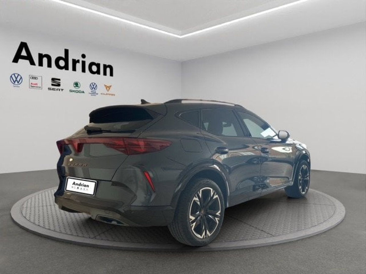 Cupra Formentor Formentor 2.0 TDI (3)