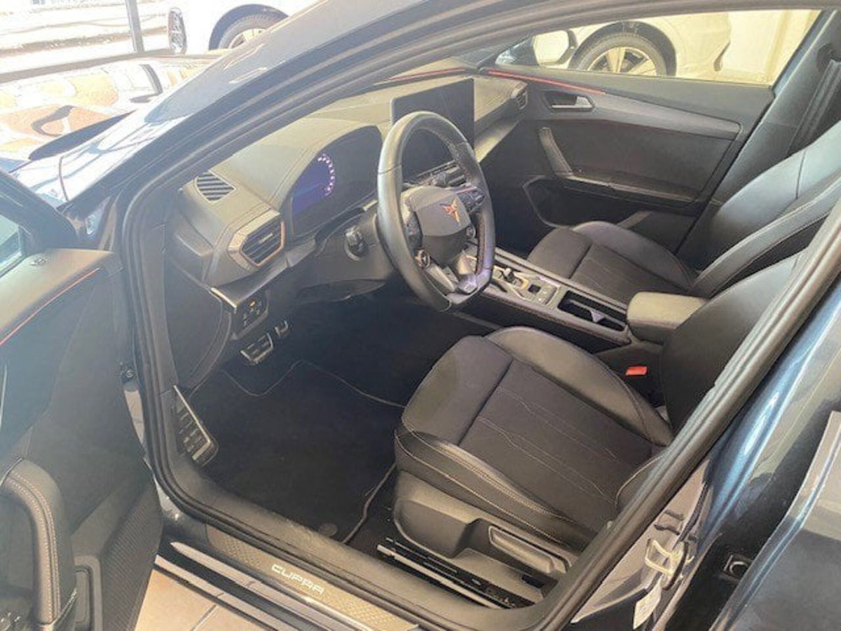 Cupra Formentor Formentor 2.0 TDI (9)