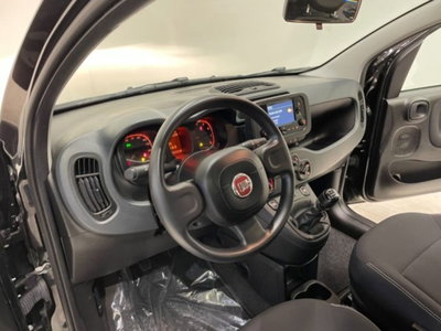 Fiat Panda 1.0 firefly hybrid s&s 70cv 5p.ti (15)