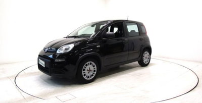Fiat Panda 1.0 firefly hybrid s&s 70cv 5p.ti (16)