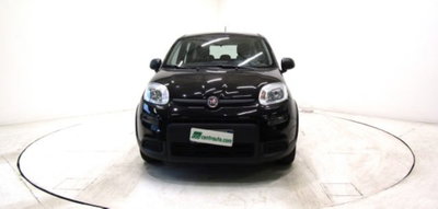 Fiat Panda 1.0 firefly hybrid s&s 70cv 5p.ti (2)