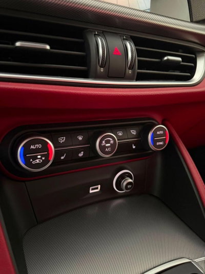 Alfa Romeo Stelvio Stelvio 2.2 Turbodiesel 210 CV AT8 Q4 Super (13)