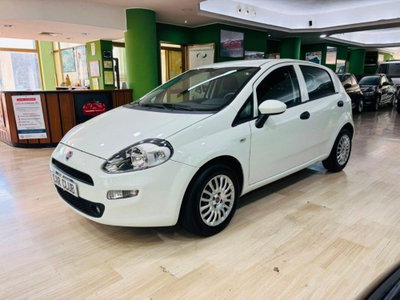 Fiat Punto 1.2 8V 5 porte Street usata