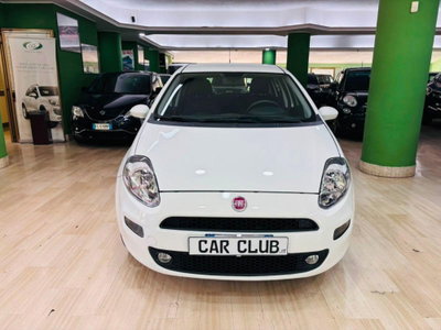 Fiat Punto 1.2 8V 5 porte Street (2)