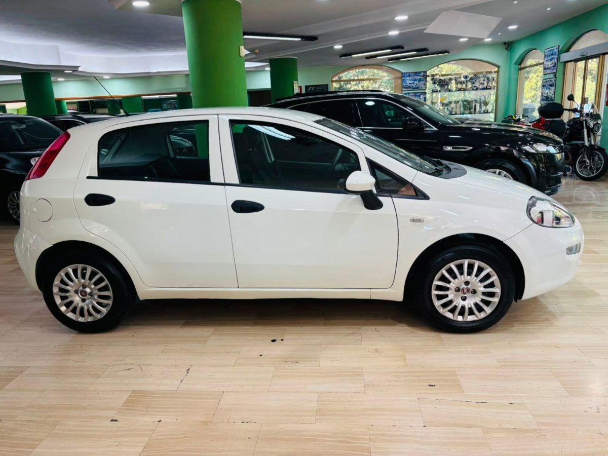 Fiat Punto 1.2 8V 5 porte Street (4)
