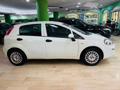 Fiat Punto 1.2 8V 5 porte Street (4)