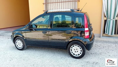 Fiat Panda 1.2 Active GPL (12)