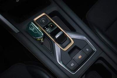 Cupra Formentor Formentor 2.0 TDI (13)