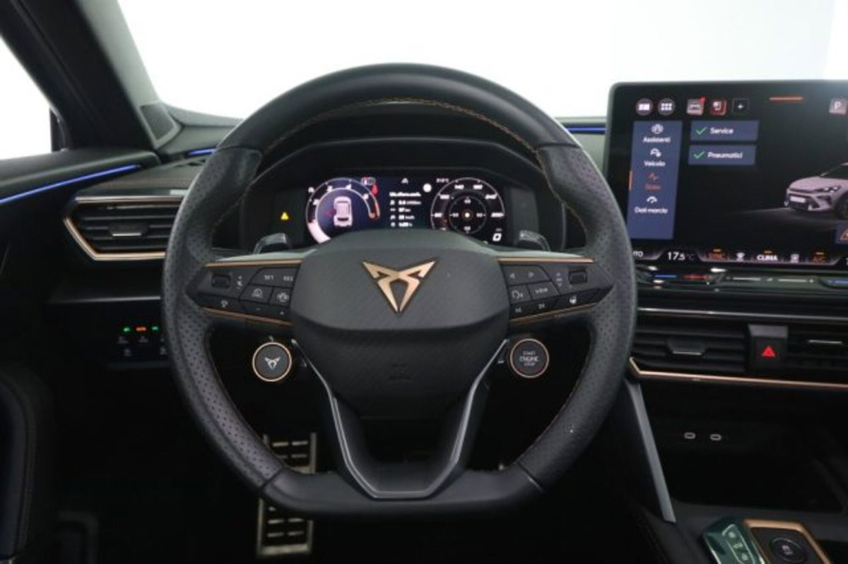 Cupra Formentor Formentor 2.0 TDI (5)