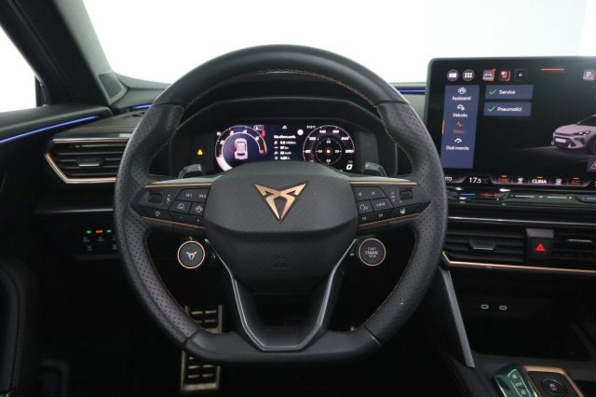 Cupra Formentor Formentor 2.0 TDI (5)