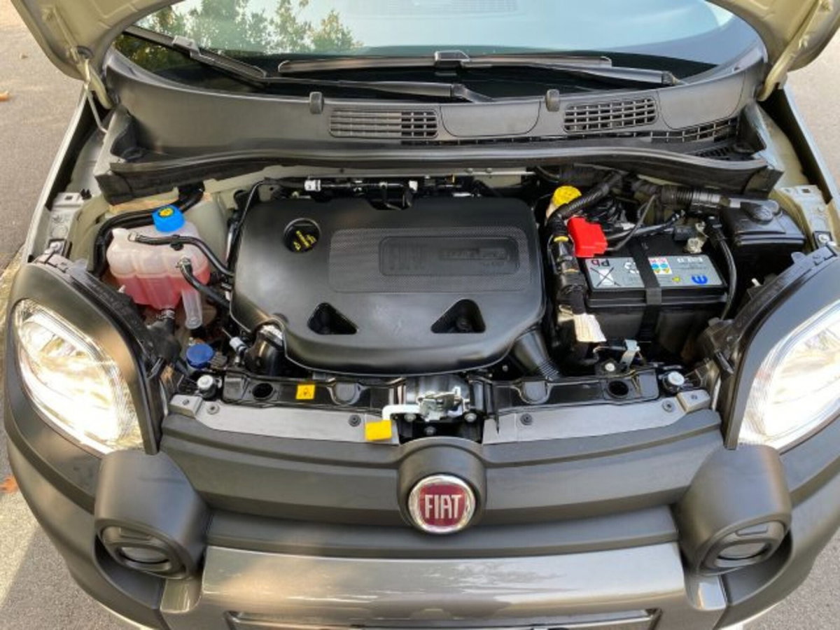 Fiat Panda Cross Cross 0.9 TwinAir Turbo S&S 4x4 (9)