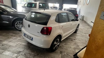 Volkswagen Polo 1.6 TDI DPF 5 porte Comf. BlueMotion Technology (5)