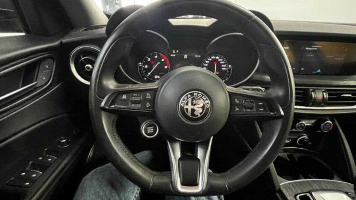 Alfa Romeo Stelvio Stelvio 2.2 Turbodiesel 190 CV AT8 Q4 Super Business (9)