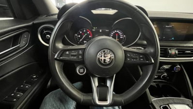 Alfa Romeo Stelvio Stelvio 2.2 Turbodiesel 190 CV AT8 Q4 Super Business (9)