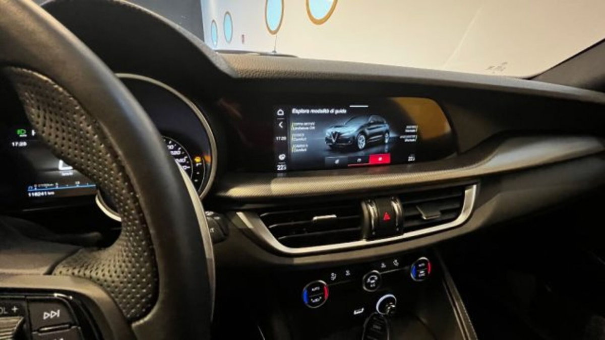 Alfa Romeo Stelvio Stelvio 2.2 Turbodiesel 190 CV AT8 Q4 Super Business (13)