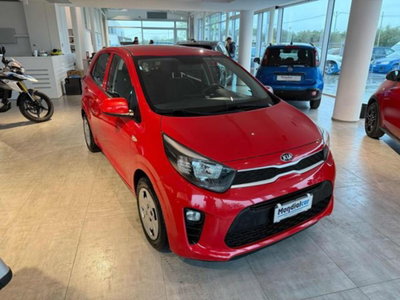 Kia Picanto 1.0 12V EcoGPL 5 porte Cool (5)