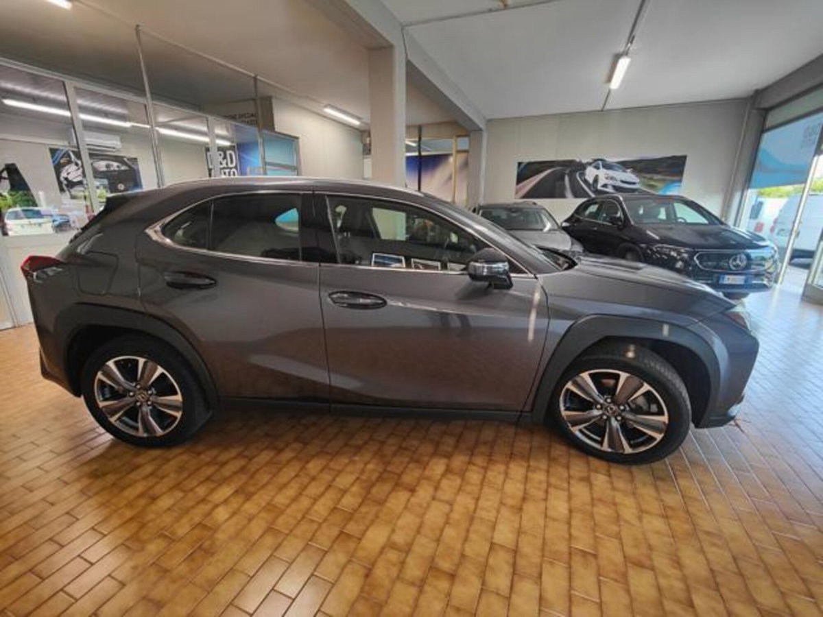 Lexus UX Full Electric Luxury (5)