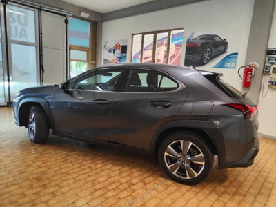 Lexus UX Full Electric Luxury (8)