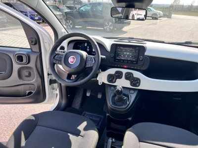 Fiat Panda Cross Cross 1.0 FireFly S&S Hybrid (9)