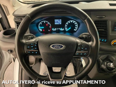 Ford Transit Furgone 290 2.0TDCi EcoBlue 130CV PM-TM Furgone Trend (13)