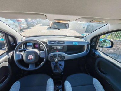 Fiat Panda 1.0 FireFly S&S Hybrid City Cross (12)