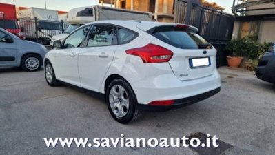 Ford Focus 1.5 TDCi 95 CV Start&Stop Plus (3)