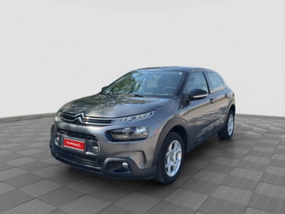 Citroen C4 Cactus BlueHDi 100 S&S Live usata