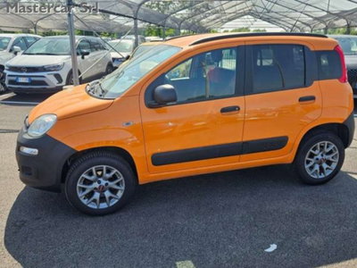 Fiat Panda 1.3 MJT 4x4 Pop Van 2 posti (3)