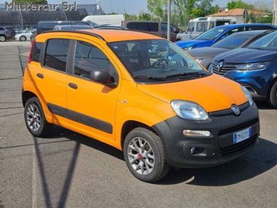 Fiat Panda 1.3 MJT 4x4 Pop Van 2 posti (9)