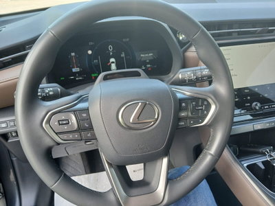 Lexus LBX 1.5 hybrid Elegant 2wd (10)