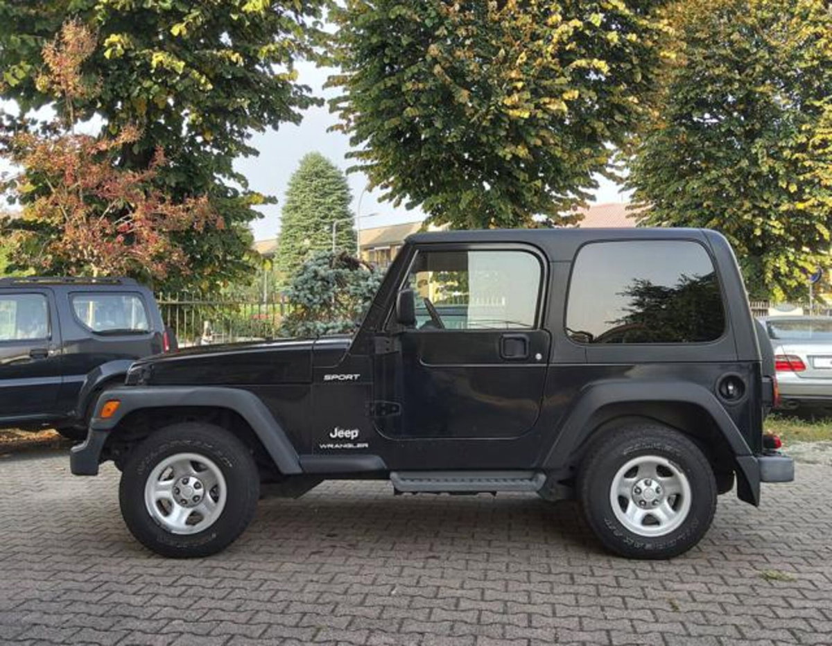 Jeep Wrangler 4.0 cat Hard top (EU) (3)