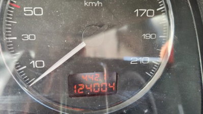 Peugeot 307 16V 5p. XT (15)