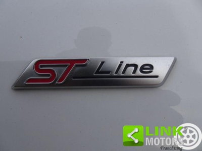 Ford Fiesta 1.1 85 CV 5 porte ST-Line (17)