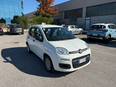 Fiat Panda 1.2 EasyPower Easy (2)