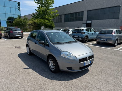 Fiat Punto 1.2 8V 5 porte Easy usata