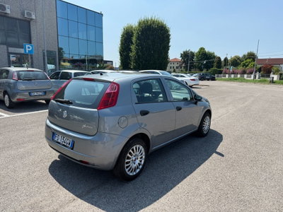 Fiat Punto 1.2 8V 5 porte Easy (3)
