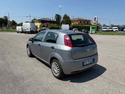 Fiat Punto 1.2 8V 5 porte Easy (5)