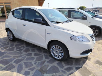 Lancia Ypsilon 1.2 69 CV 5 porte Gold usata
