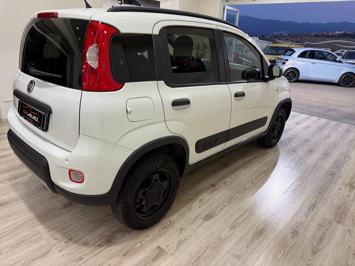 Fiat Panda Cross Cross 0.9 TwinAir Turbo S&S 4x4 (2)