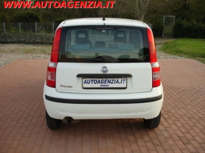Fiat Panda 1.1 Active (7)